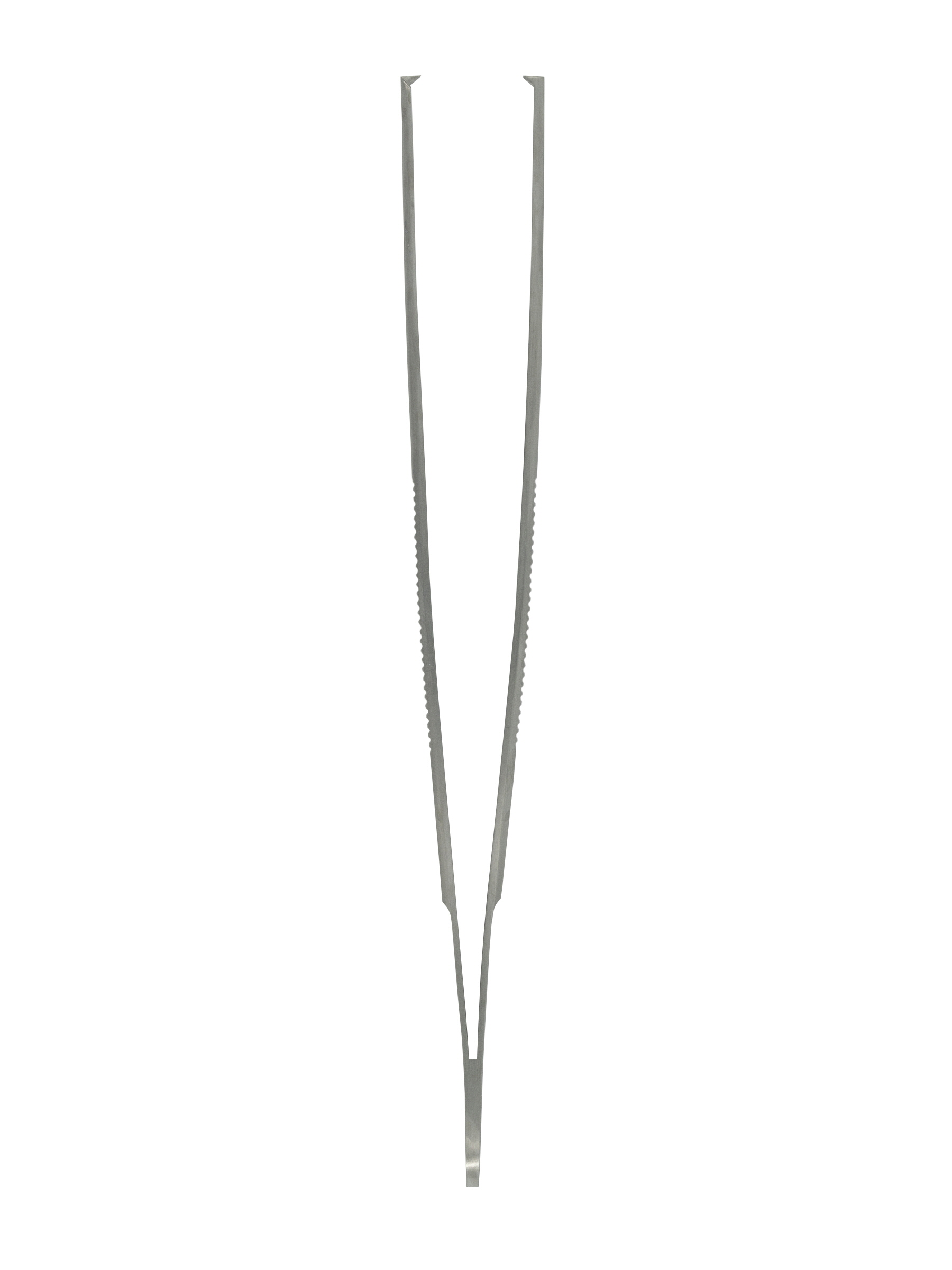 Student Surgical Standard Pattern Forceps